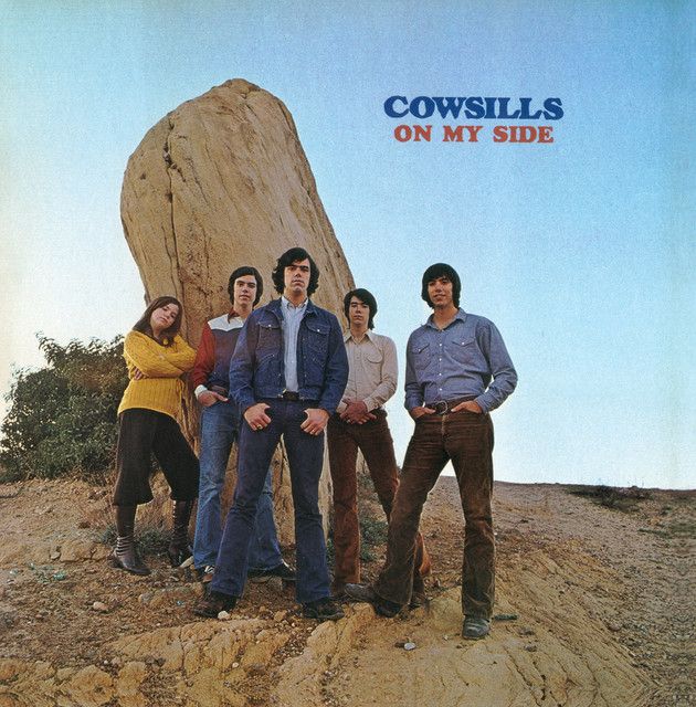 The Cowsills "On My Side" EX+ 1971