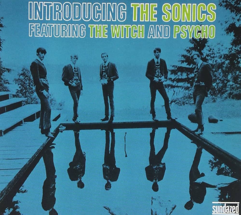 *** The Sonics "Introducing..." *CoLoReD ViNyL!*