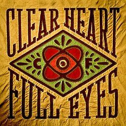 Craig Finn "Clear Heart Full Eyes" NM- 2011