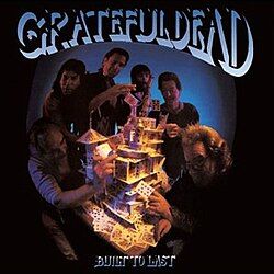 Grateful Dead "Built To Last" *CD* 1989