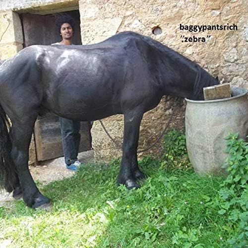 Baggypantsrich "Zebra"