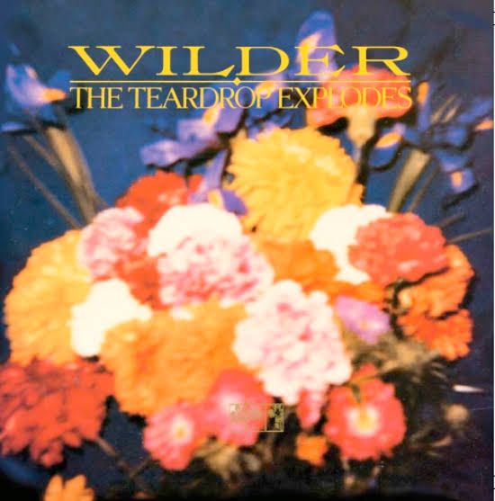 The Teardrop Explodes "Wilder" NM- 1981 *UK press!*