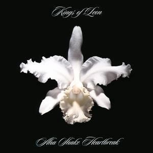 Kings Of Leon "Aha Shake Heartbreak" *CD* 2004