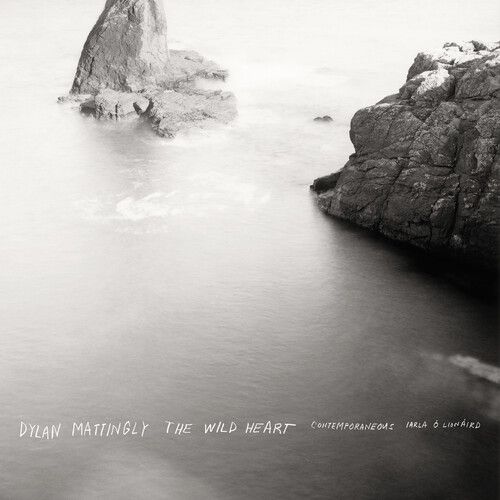 Dylan Mattingly, Contemporaneous "The Wild Heart"