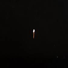 Sault "Chapter 1" [Import]