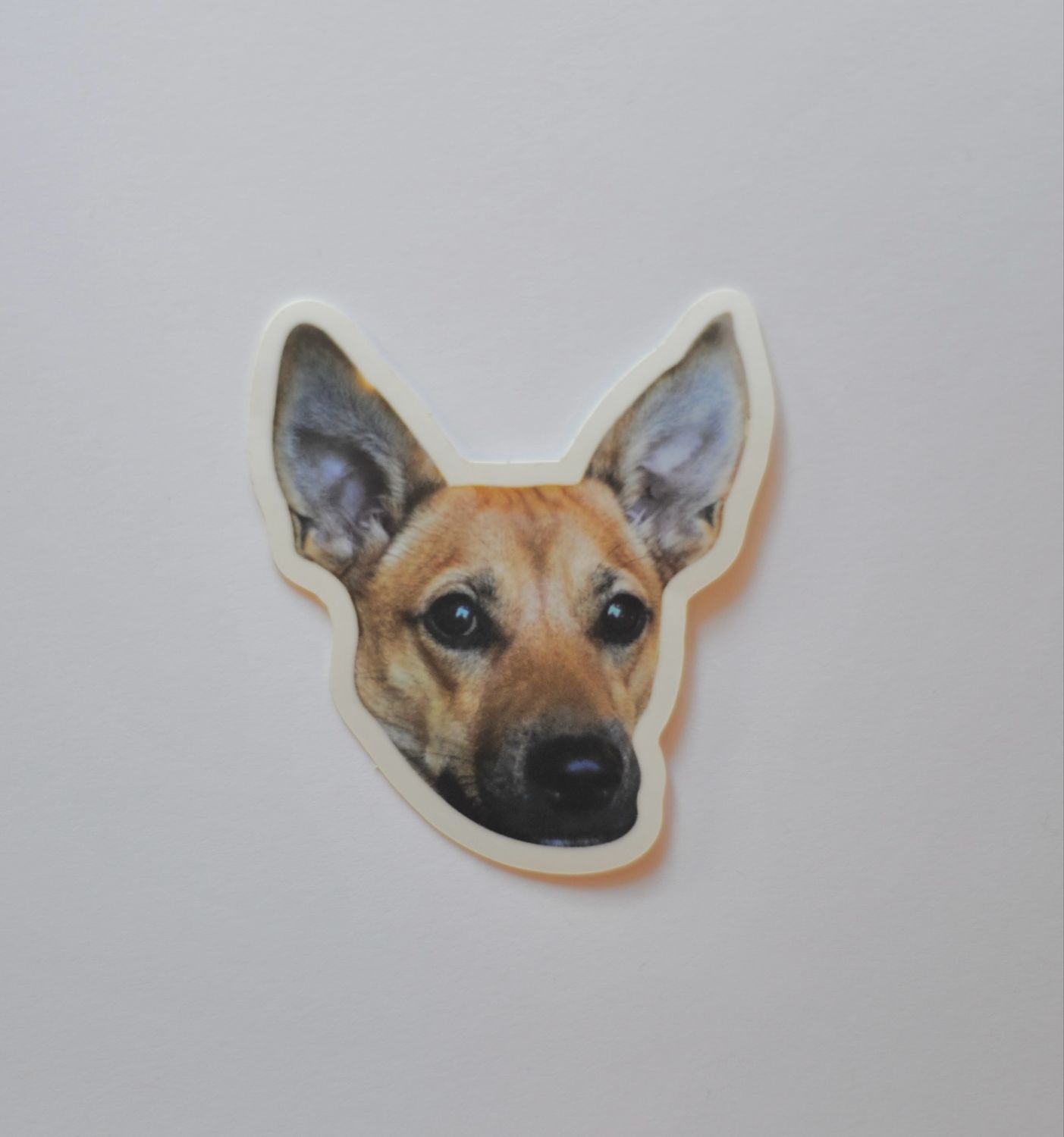 Desmond *Sticker*