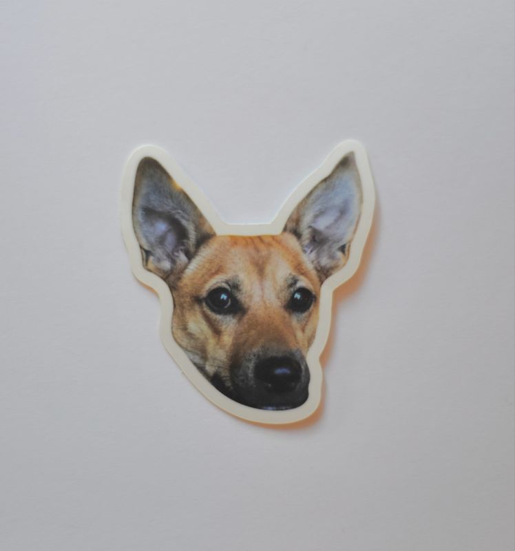 Desmond *Sticker*
