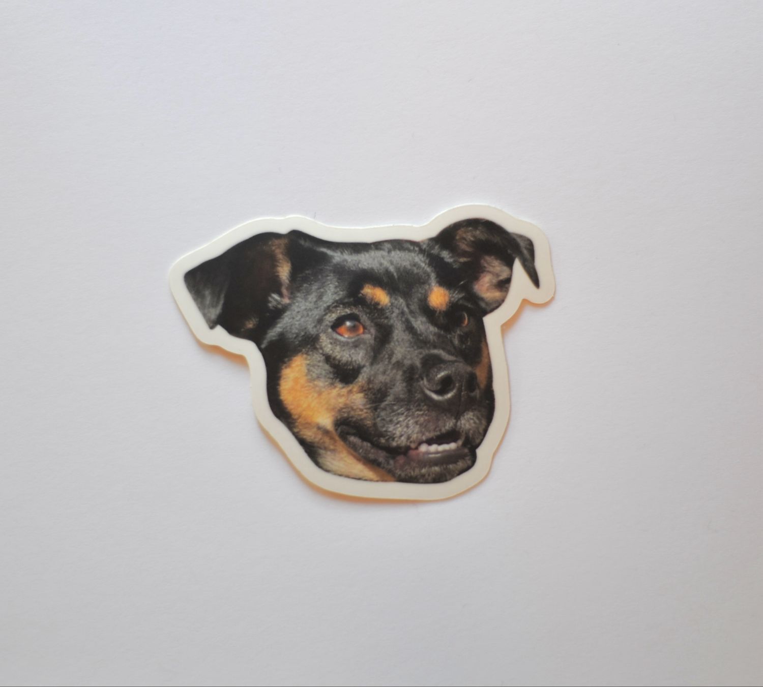 Frida *Sticker*