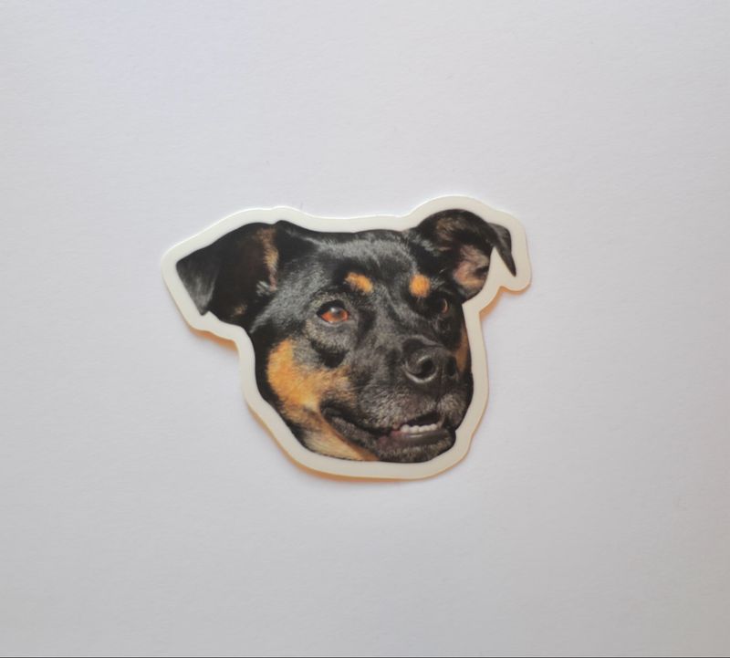 Frida *Sticker*