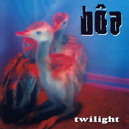 bôa "Twilight"