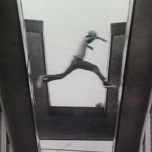 Mos Def "The Ecstatic"