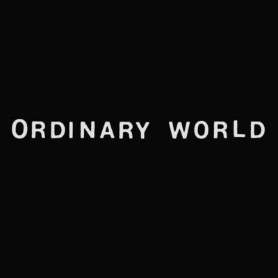 ORDINARY WORLD shirt