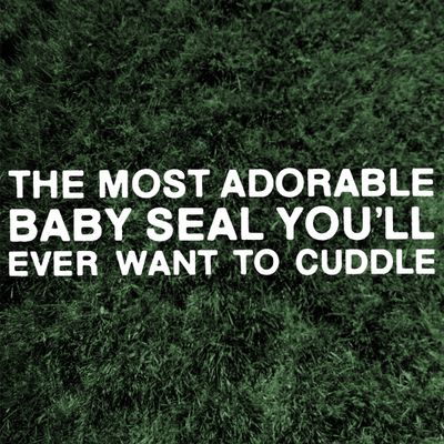 BABY SEAL blue tee
