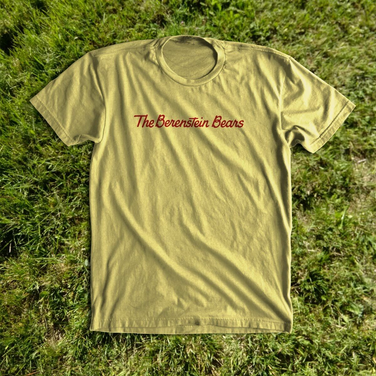Berenstein Bears shirt