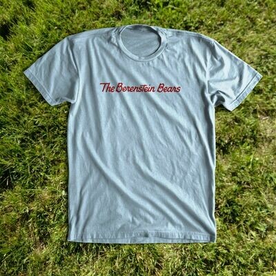 Berenstein Bears shirt