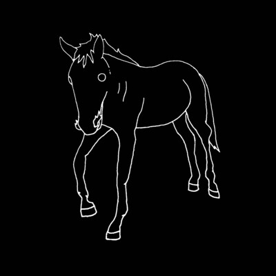 HORSE #1 black shirt