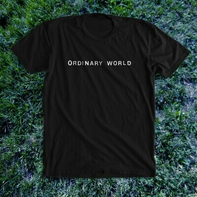 ORDINARY WORLD shirt