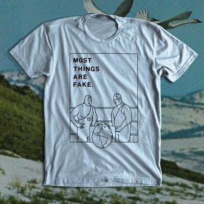MOST THINGS ARE FAKE shirt