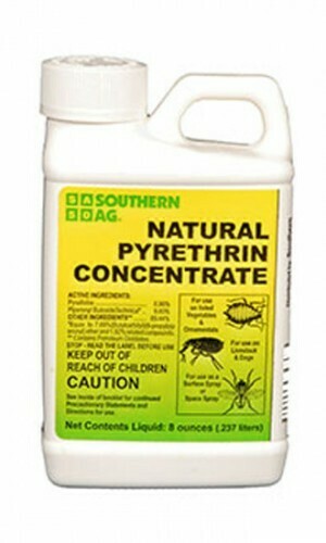 Pyrethrin Concentrate So Ag 8oz