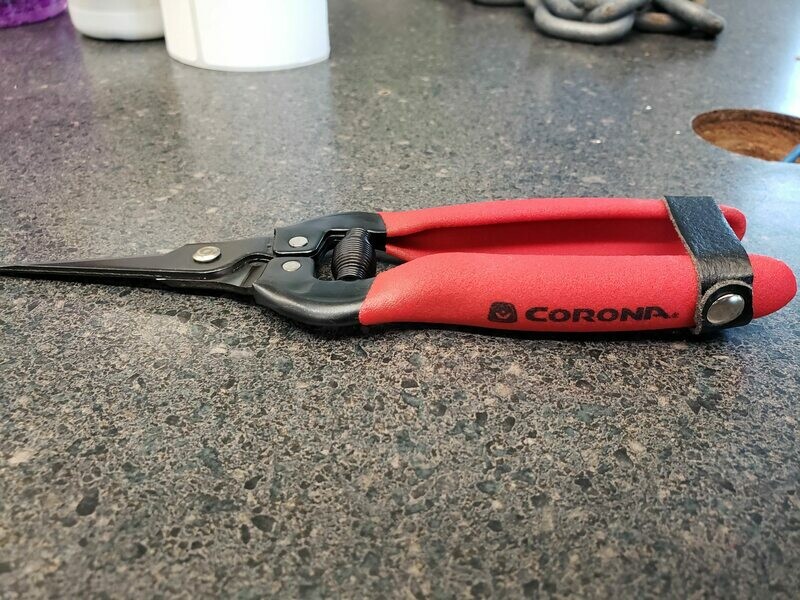 Corona Carbon (Black) Needle Nose Pruners