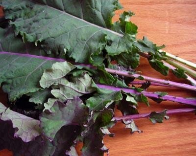 Lacinato Rainbow Mix Kale- Southern Exposure Seeds