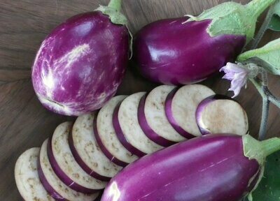 Rosita Eggplant- Southern Exposure Seeds