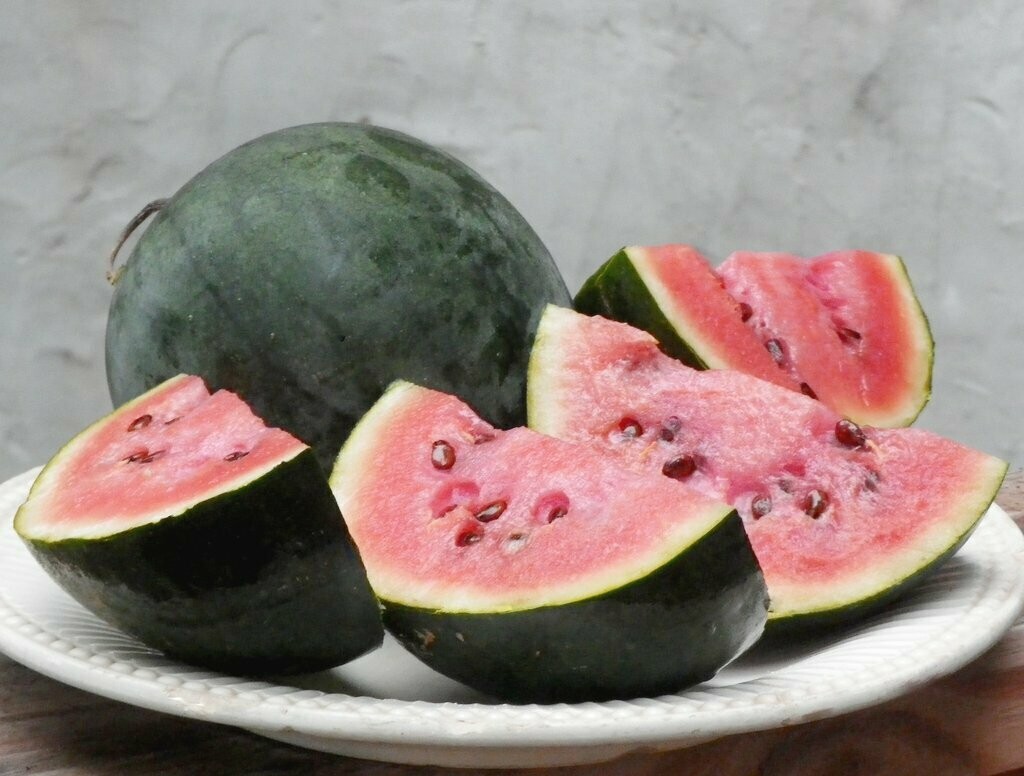 Sugar Baby Watermelon- Southern Exposure Seeds