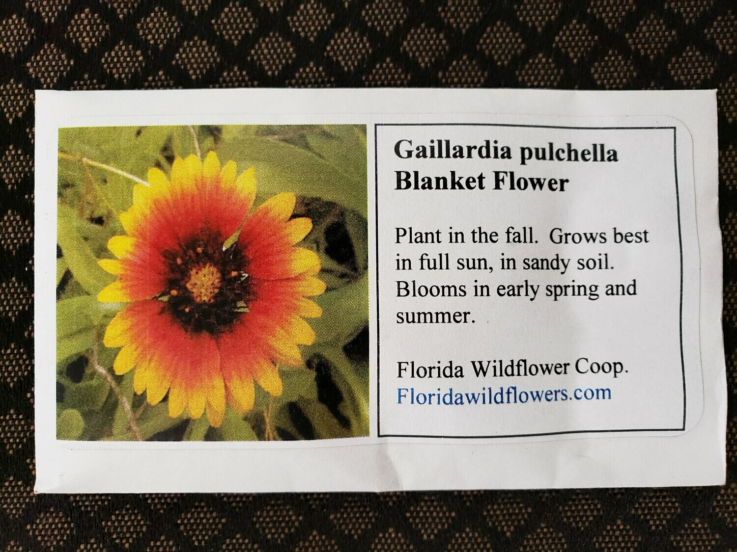 Blanket Flower- Florida Native Wildflower Seeds
