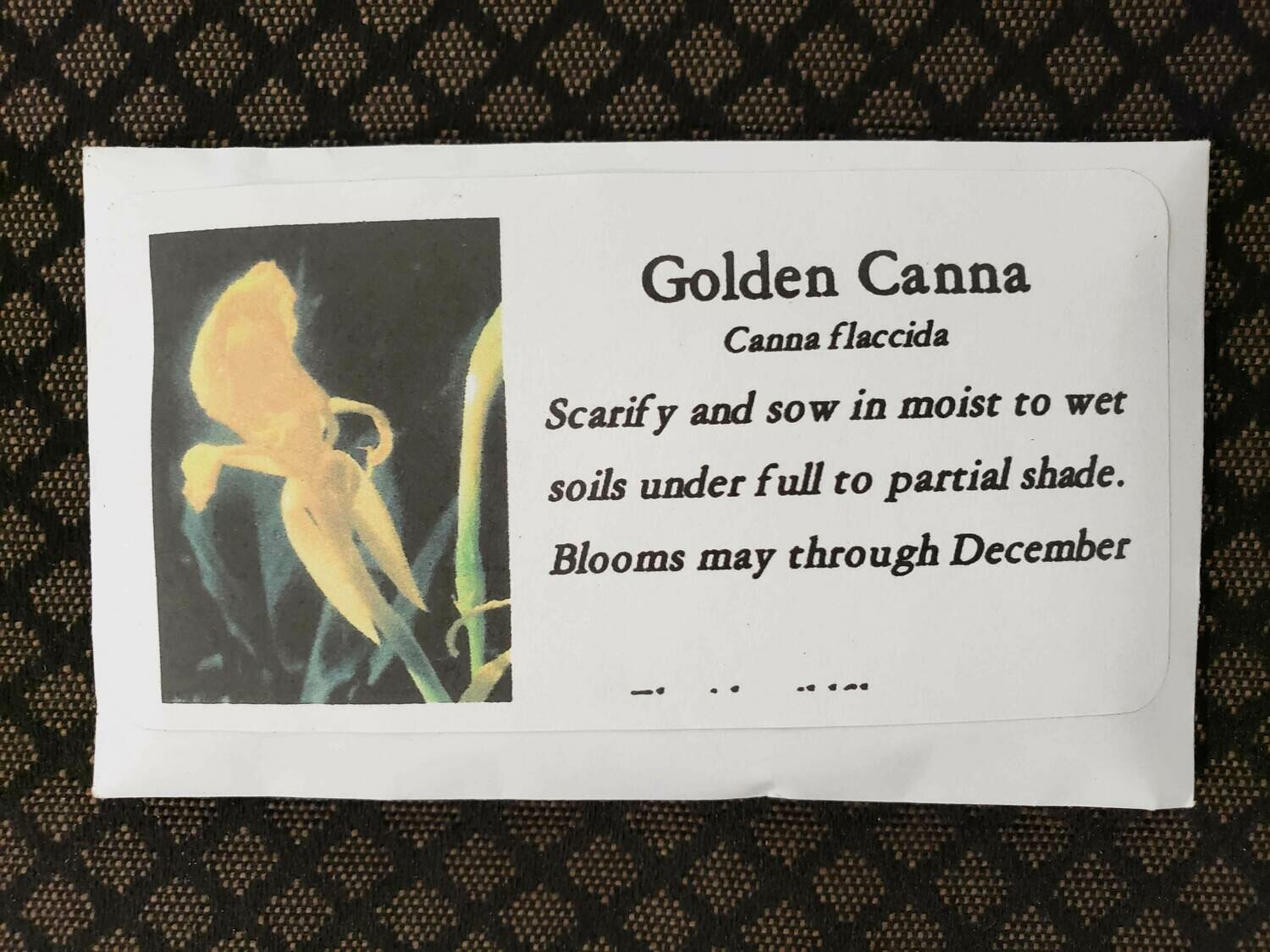 Golden Canna- Florida Native Wildflower Seeds