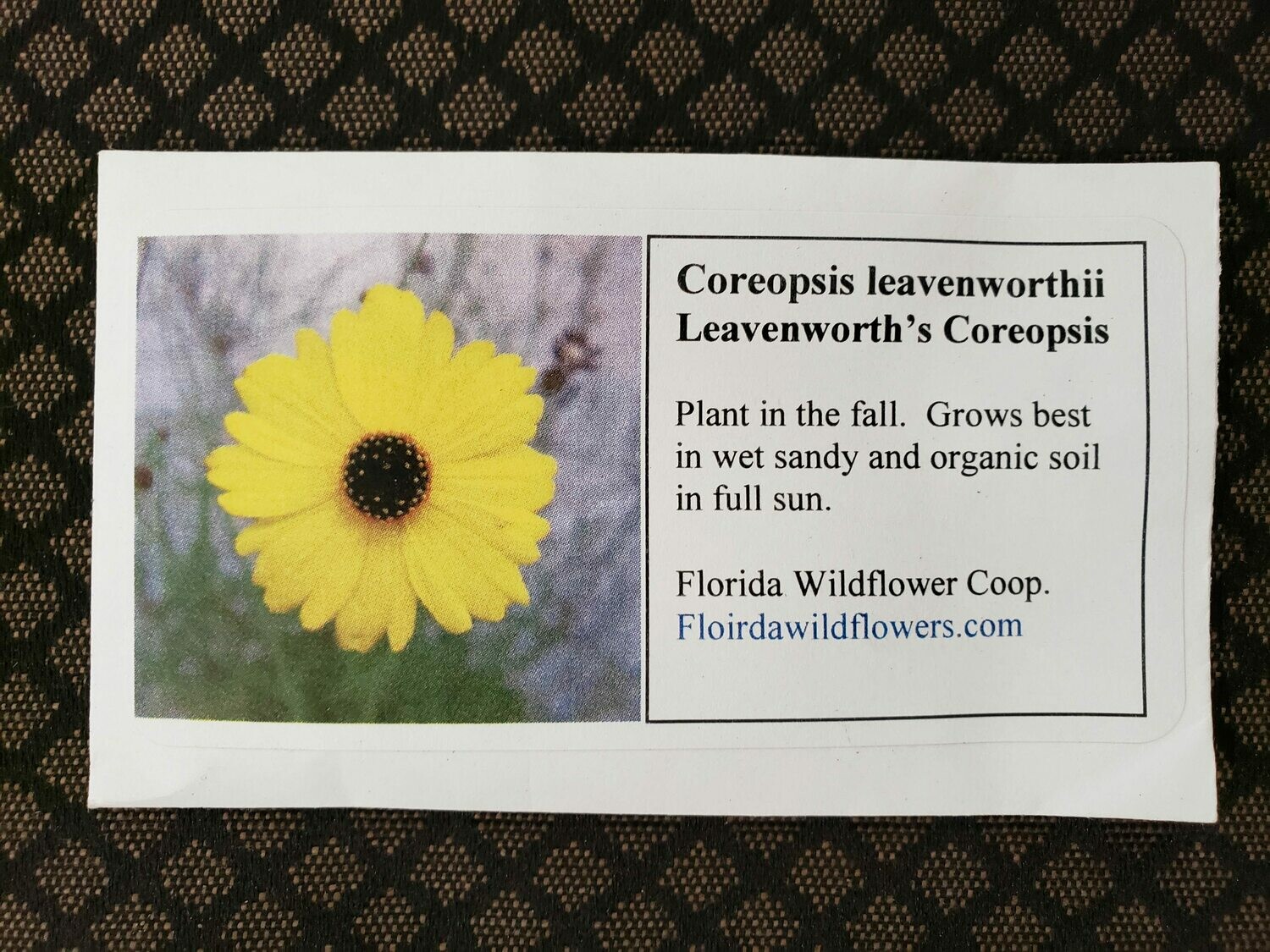 Leavenworth's Tickseed- Florida Native Wildflower Seeds