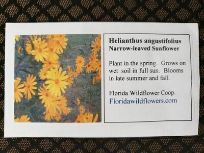 Narrowleaf Sunflower- Florida Native Wildflower Seeds