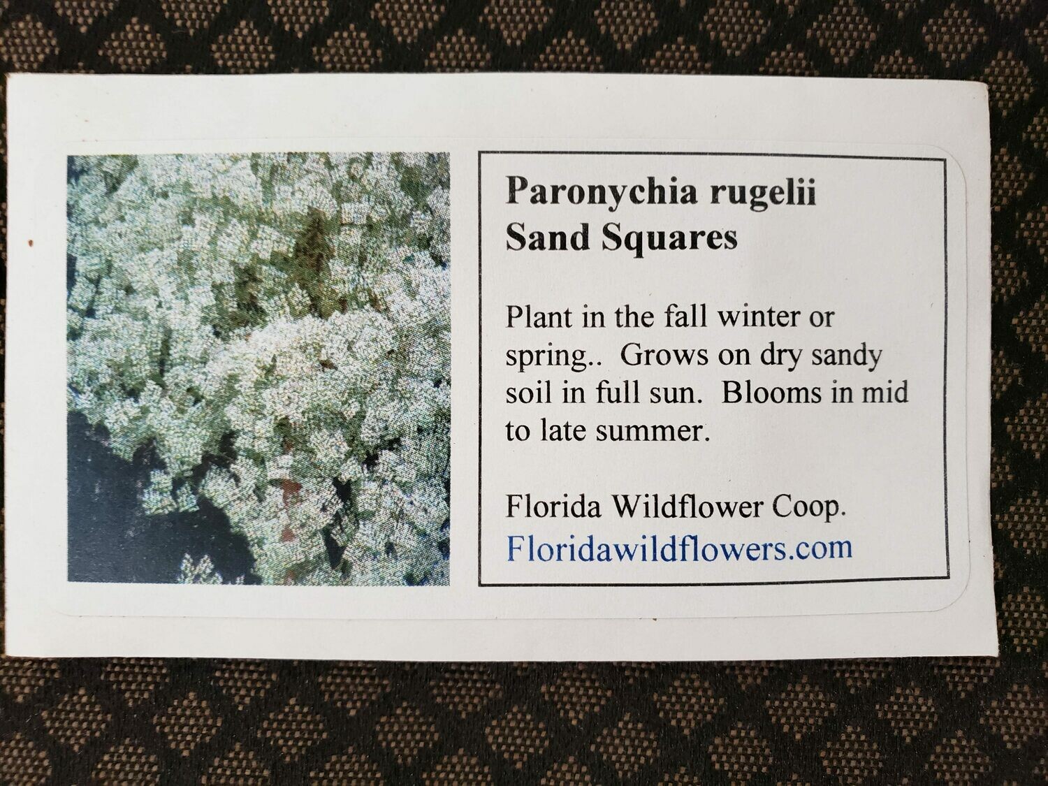 Sand Squares- Florida Native Wildflower Seeds