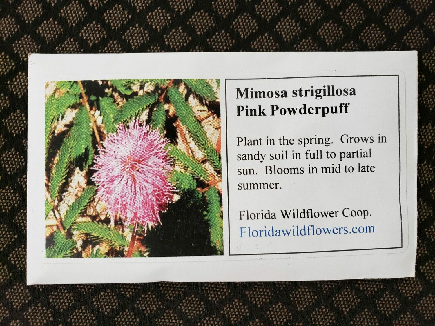Sunshine Mimosa (Powderpuff)- Florida Native Wildflower Seeds