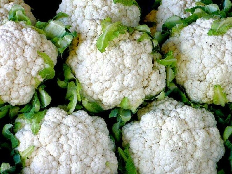 Snowball Cauliflower-Southern Exposure Seeds