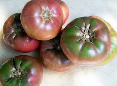 Cherokee Purple Tomato-Southern Exposure Seeds