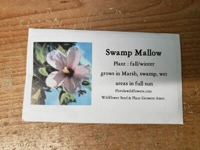 Swamp Rosemallow- Florida Native Wildflower Seeds