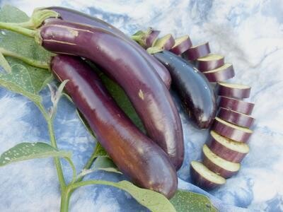 Long Purple Eggplant-Southern Exposure Seeds