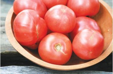 Arkansas Traveler Tomato-Southern Exposure Seeds