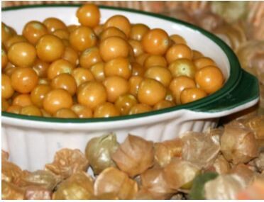 Cossack Pineapple Ground Cherry-Southern Exposure Seeds