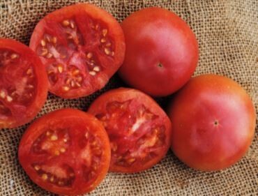 Eva Purple Ball Tomato-Southern Exposure Seeds