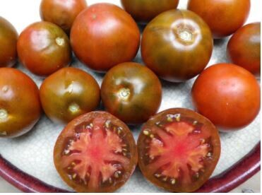 Black Prince Tomato-Southern Exposure Seeds