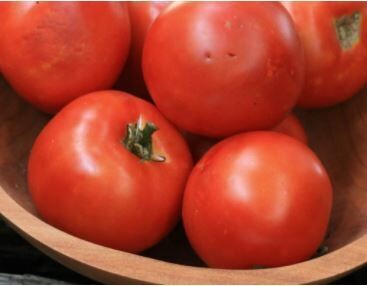Oxheart Tomato-Southern Exposure Seeds