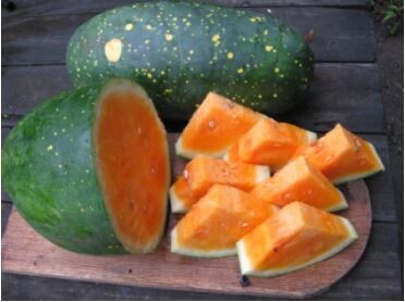 Yellow-Fleshed Moon and Stars Watermelon-Southern Exposure Seeds