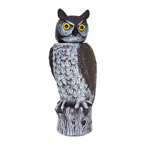 Garden Owl Statues