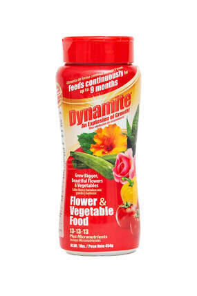 Dynamite Flower and Vegetable 13-13-13
