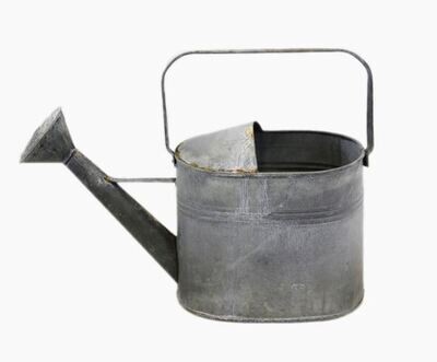 Gray Zinc Oval Watering Can