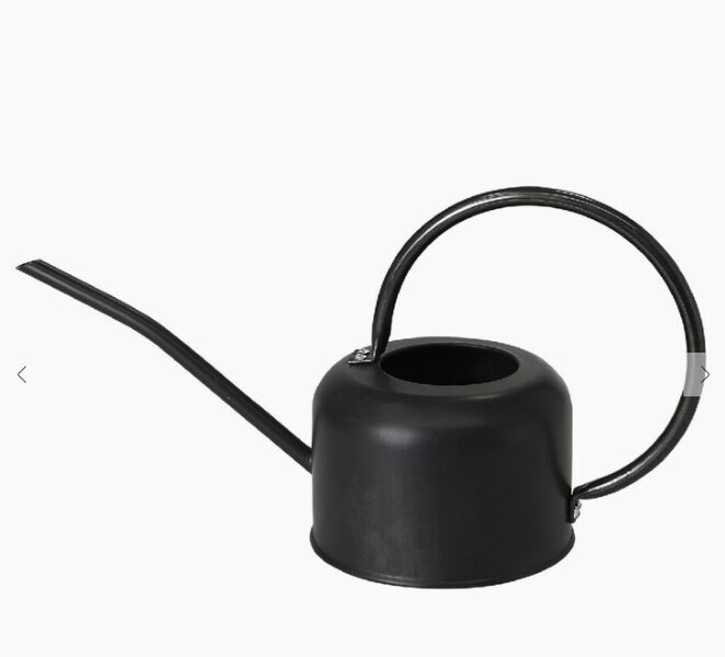 Small Black Watering Can