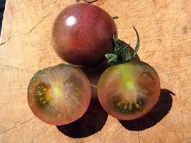 Black Cherry Tomato-Southern Exposure Seeds