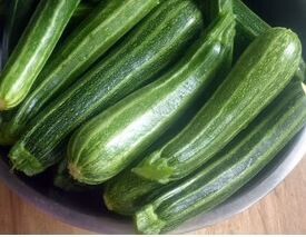 Cocozelle Italian Summer Squash-Southern Exposure Seeds