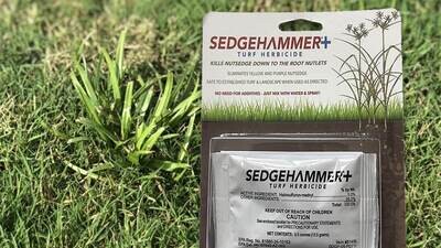 Sedge Hammer Sedge Control